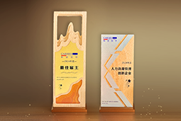 圣淘沙dh国际一举斩获“2024年度中国区最佳雇主”等多项大奖